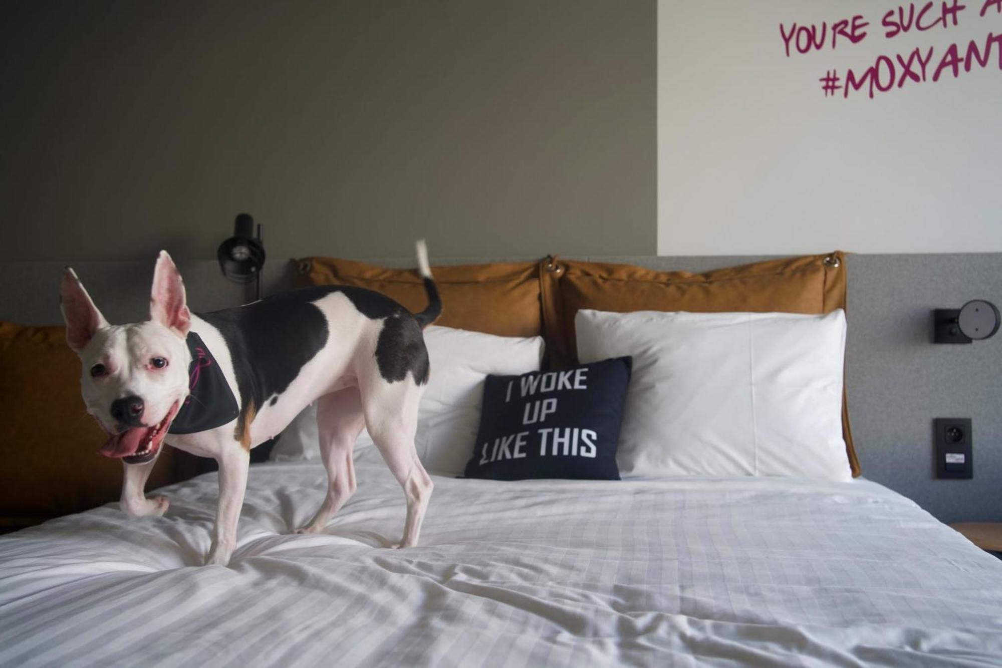 Moxy Antwerp Hotel Bagian luar foto